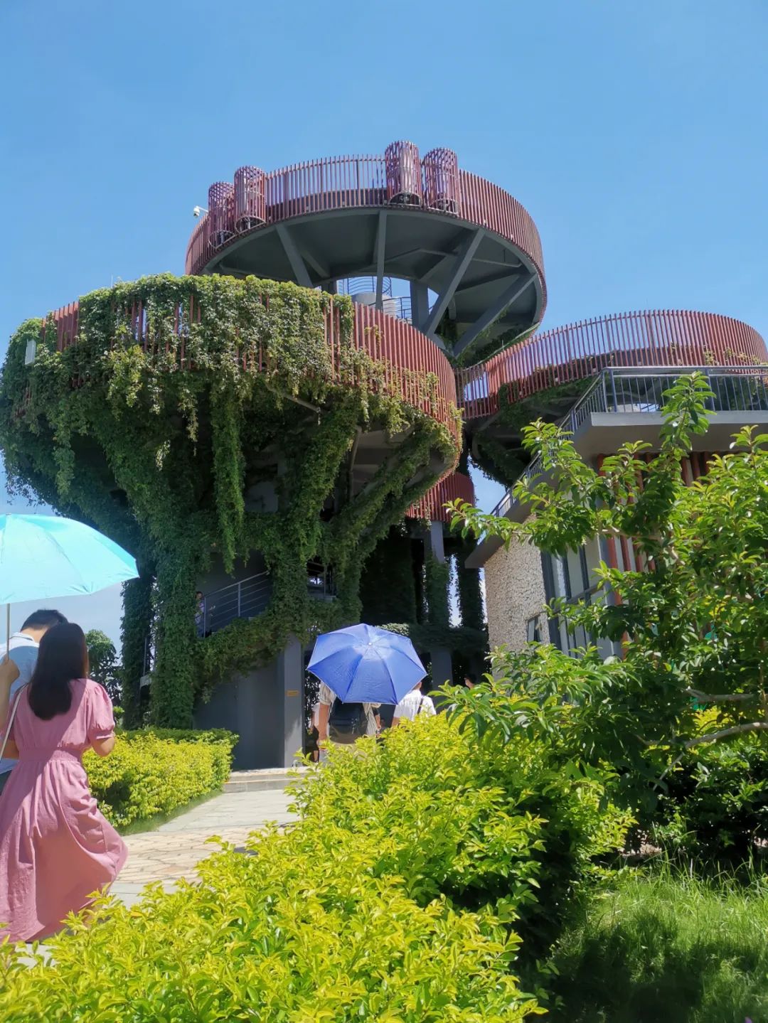 1650073548561032.jpg 640 (7).jpg